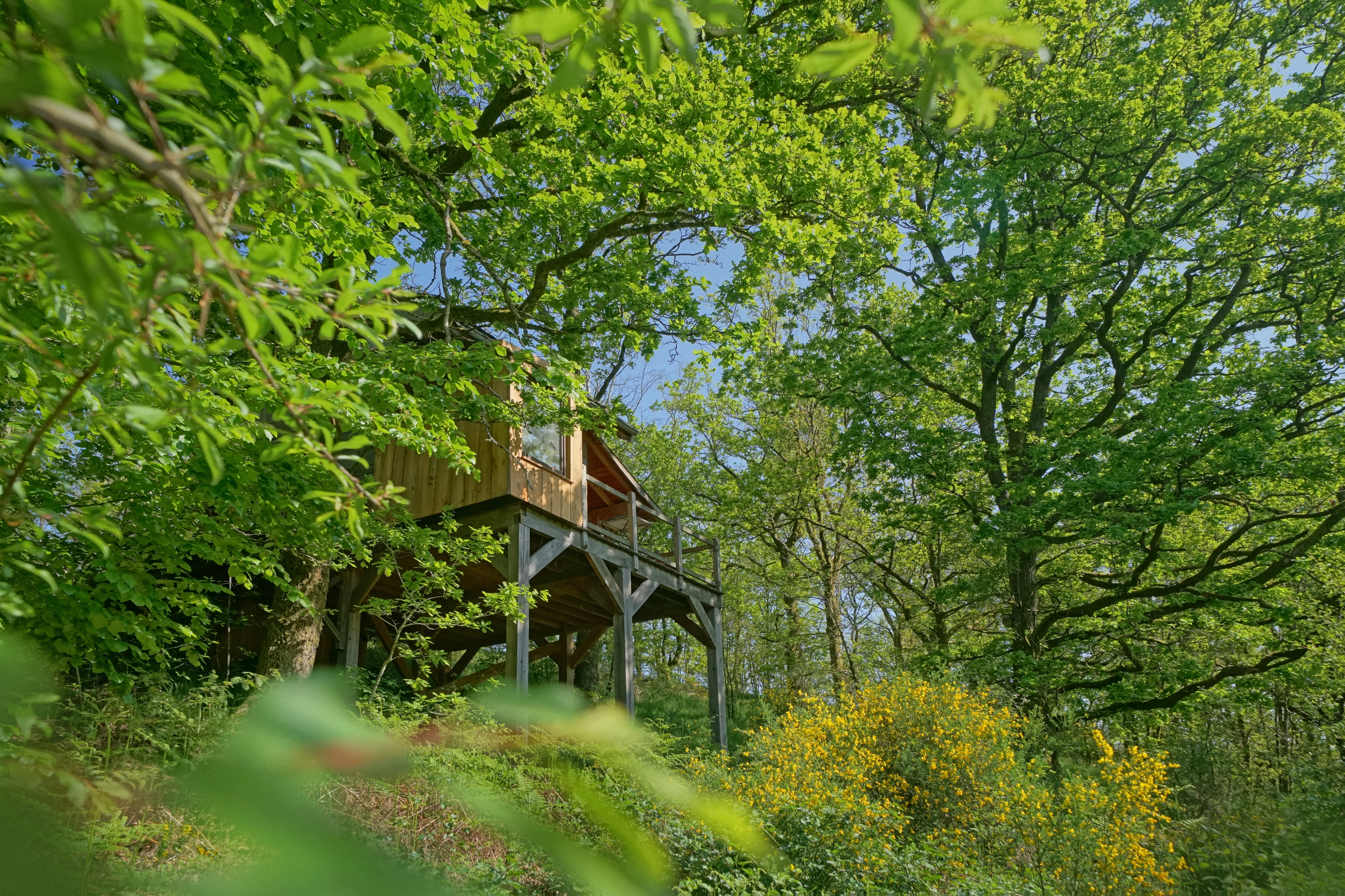 Herbeumont, hébergements insolites (Mon lit dans l'arbre)