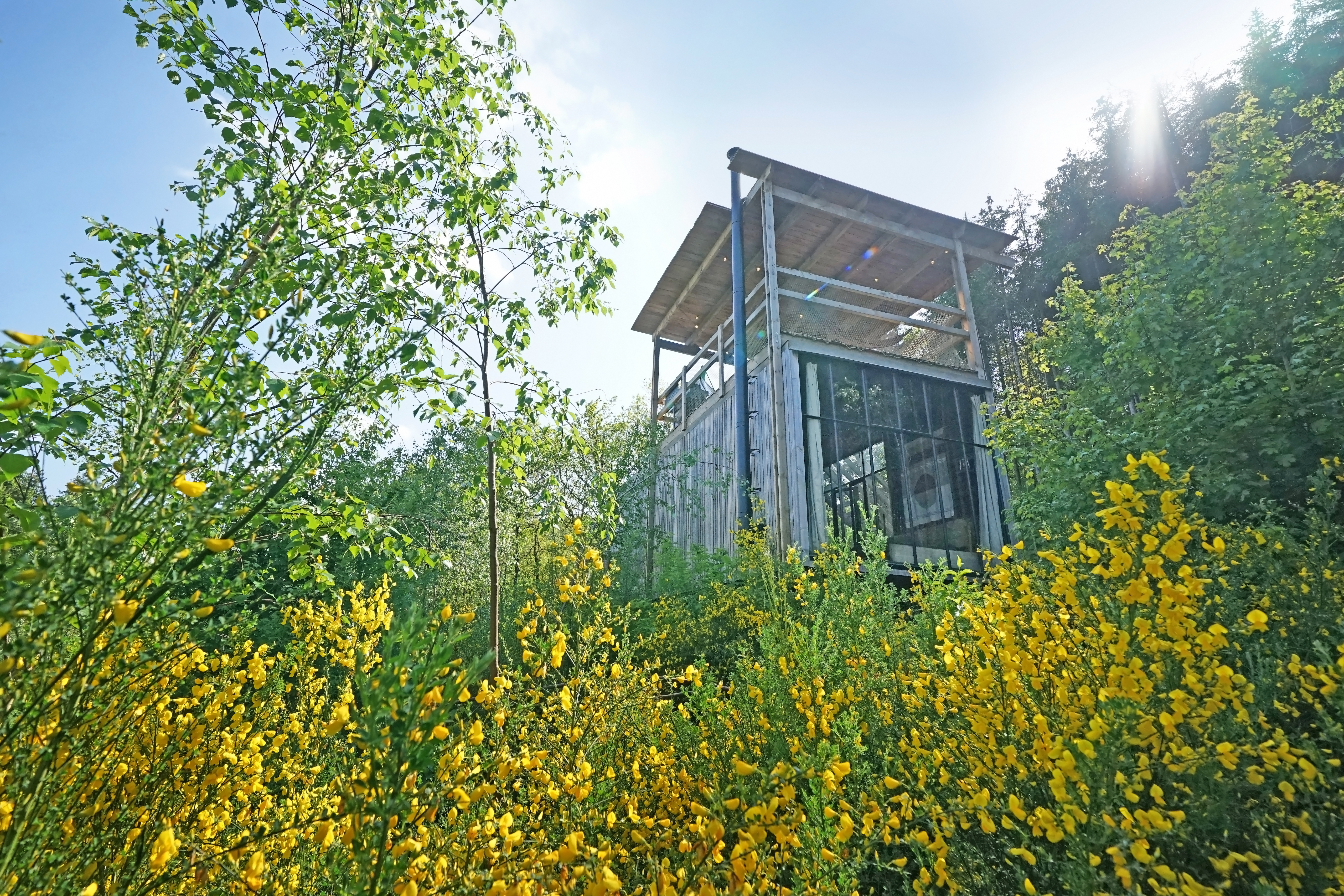 Martelange, Nutchel forest village Les Ardennes