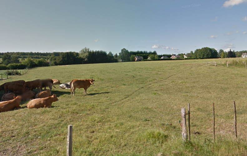 Appel à manifestation d'intérêt visant à vendre des parcelles à Champlon
