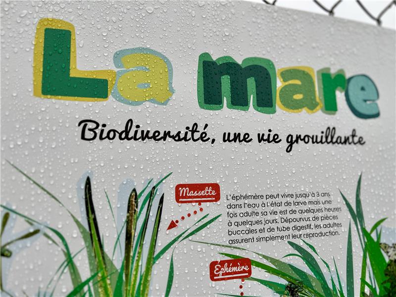 Panneau éducatif mare de Chêne