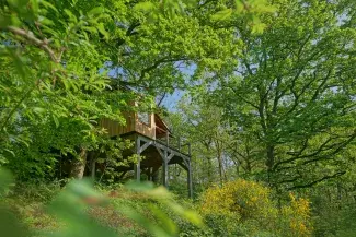 Herbeumont, hébergements insolites (Mon lit dans l'arbre)