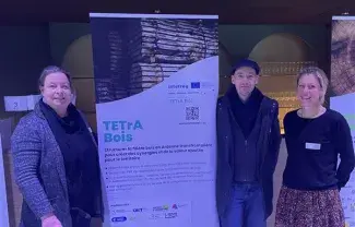 TETrA Bois – Feel Wood II