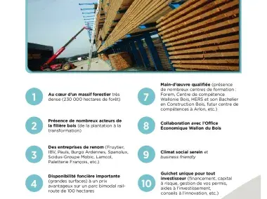 10 bonnes raisons d'investir dans le secteur bois en province de Luxembourg