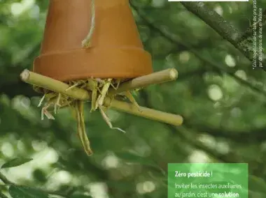 Mes abris à insectes