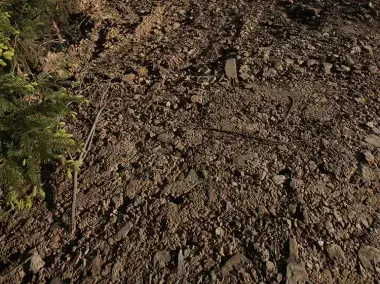 Terres et pierres dans leur état naturel