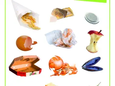 organische_abfalle_sack_oder_duobac.pdf