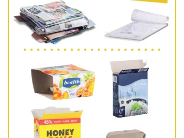 Visuell - Papier und Pappe - Sortieren in der Schule - DE