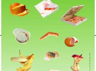 Visuel - Déchets Organiques - Ecole - FR