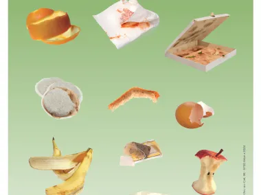 Visuell - Organische Abfälle - Sortieren in der Schule - DE