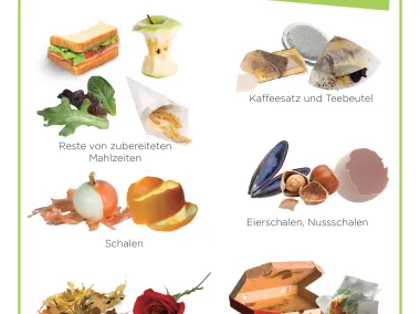 Organische Abfälle (Sack oder Duobac)