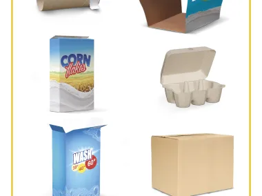 Karton (Haussammlung oder Recypark)