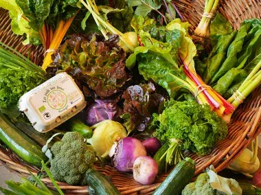 ZFT - AlimentationGR