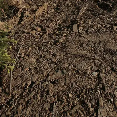 Terres et pierres dans leur état naturel