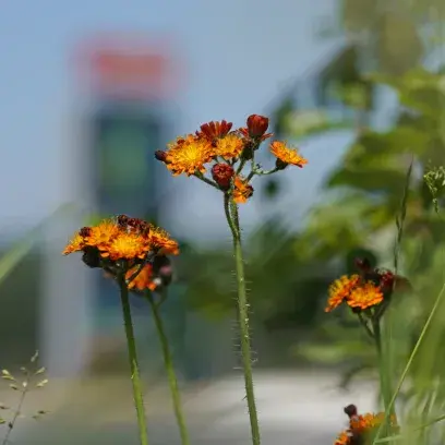 Parc d'activités économiques nouvelle génération