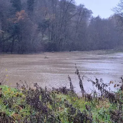 Vue sur une zone d'immersion temporaire
