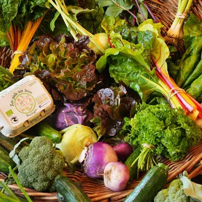 ZFT - AlimentationGR